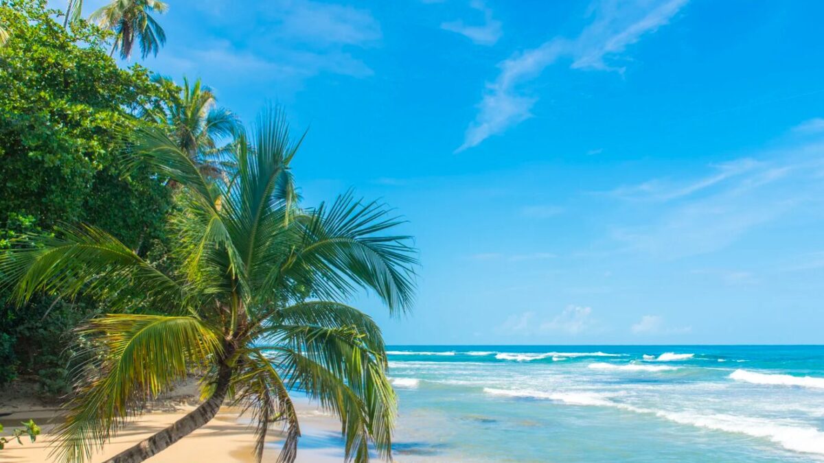 Puerto Viejo Costa Rica: Dein ultimativer Reiseführer für das karibische Paradies