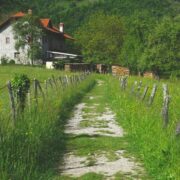 Urlaub auf dem Bauernhof: Ein unvergesslicher Aufenthalt für die ganze Familie