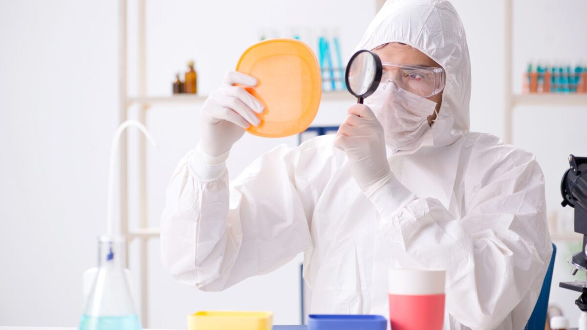 Bedeutung von BPA-frei für Gesundheit und moderne Produkte