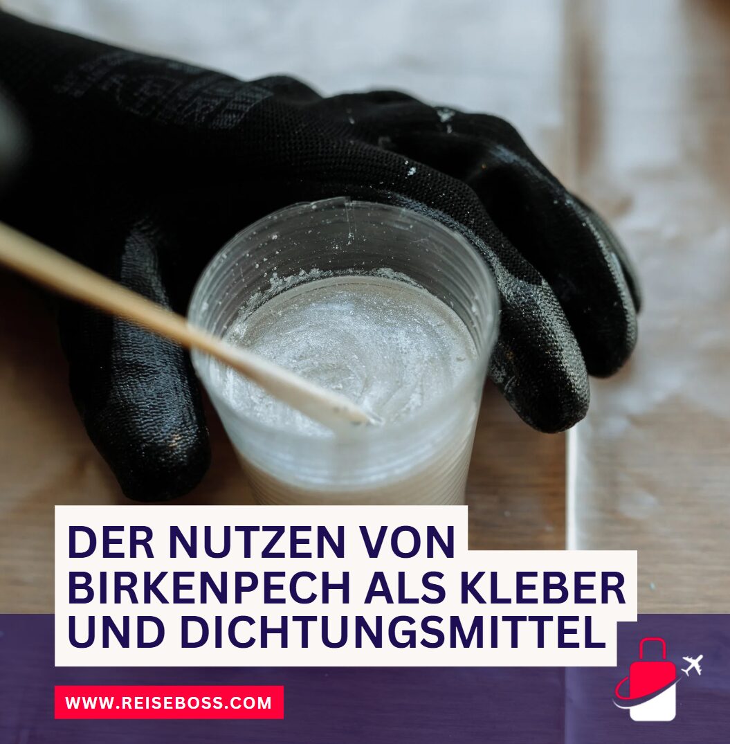 Der Nutzen von Birkenpech als Kleber und Dichtungsmittel