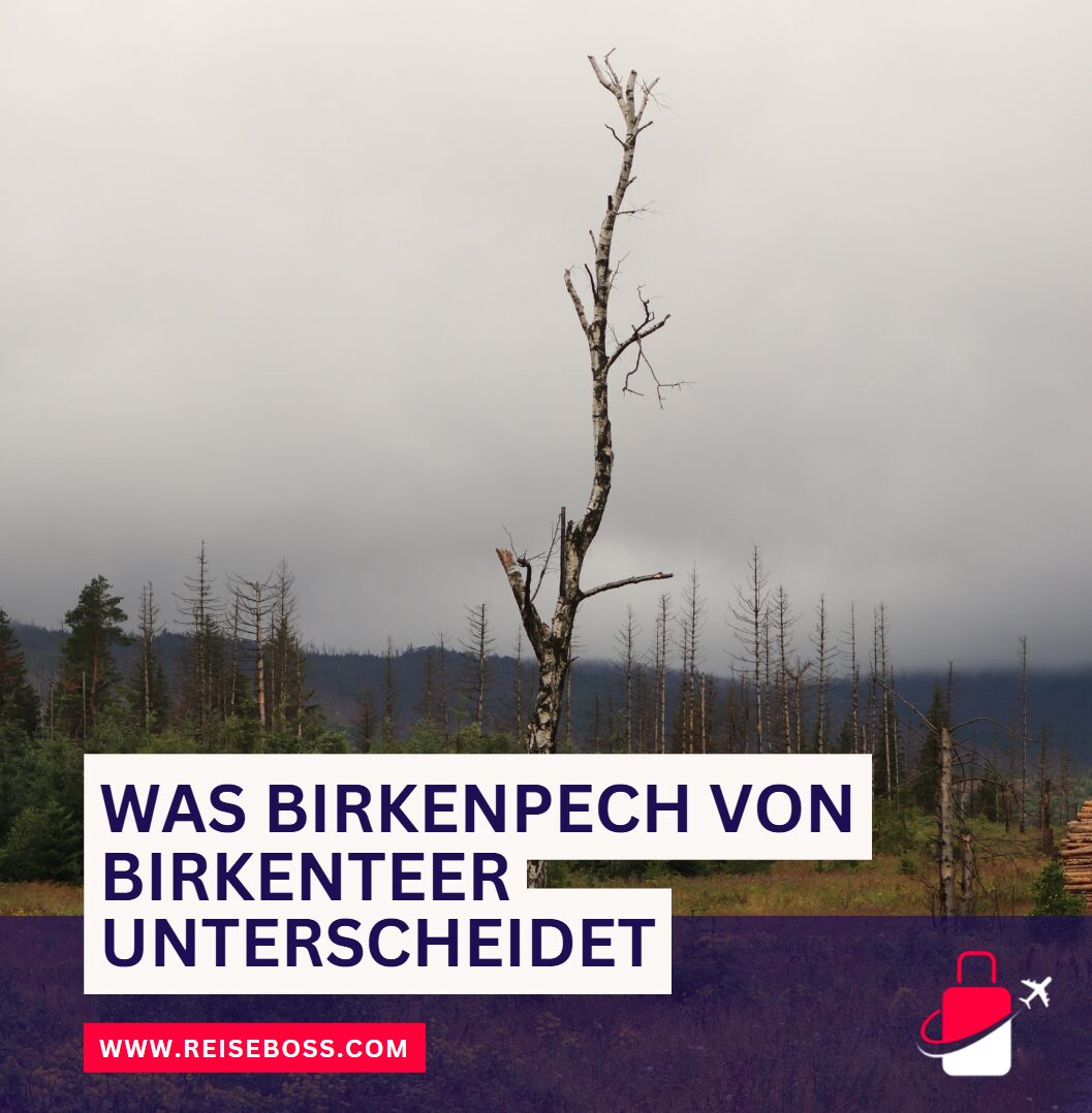 Was Birkenpech von Birkenteer unterscheidet