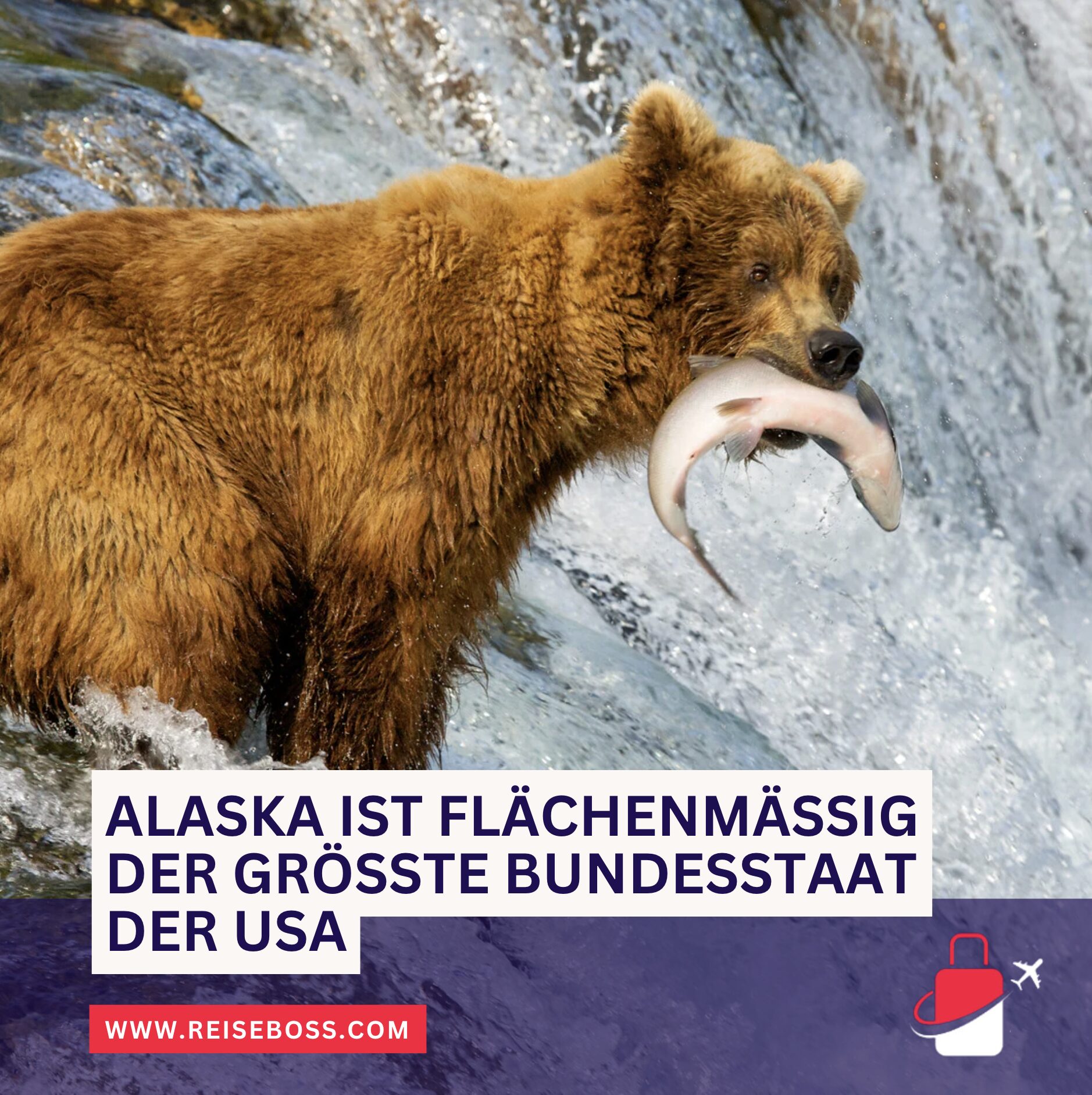 Alaska ist flächenmäßig der größte Bundesstaat der USA