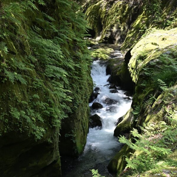 Rundweg Wutachschlucht wandern