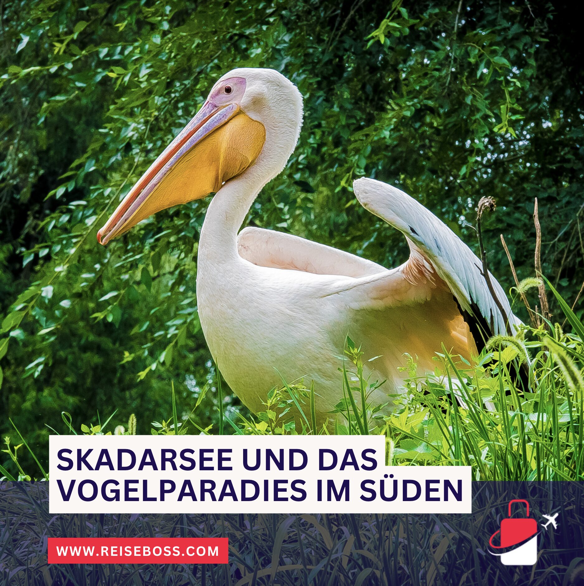 Wandern in Montenegro – beste Reisezeit Skadarsee Wandern in Montenegro – beste Reisezeit Skadarsee