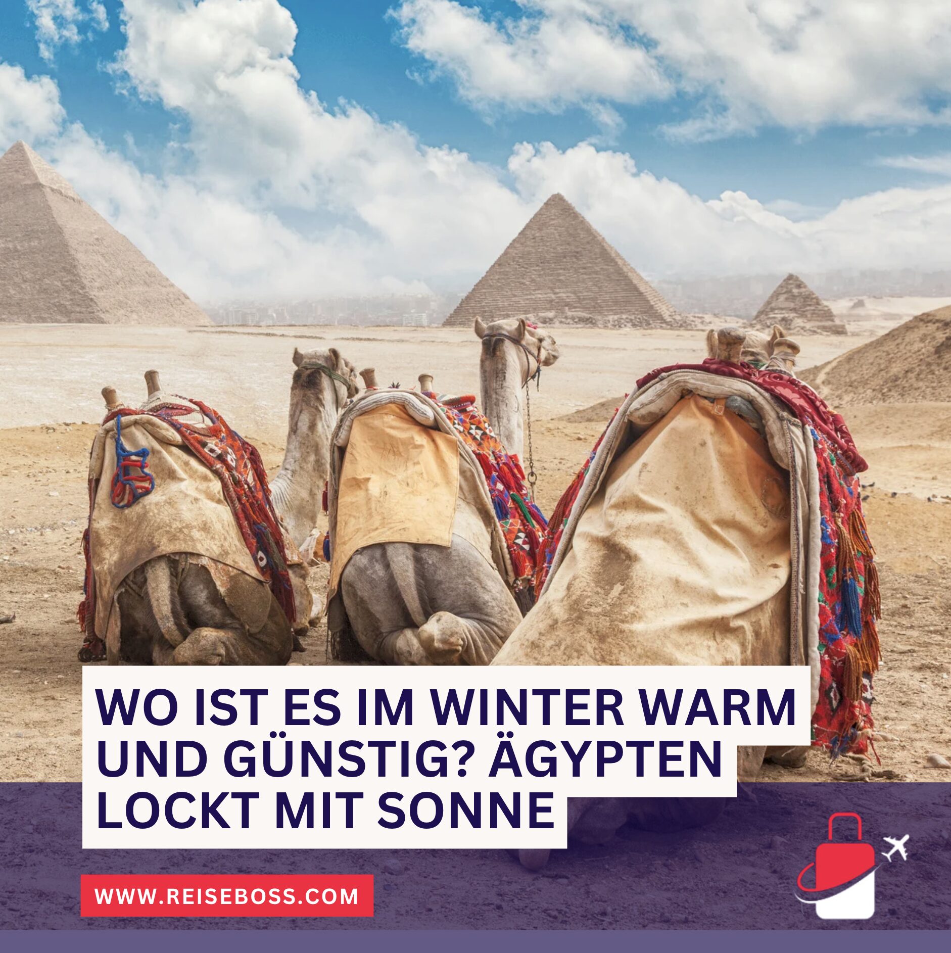 Wo ist es im Winter warm und günstig? Ägypten lockt mit Sonne